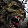 thumb_31338.jpg